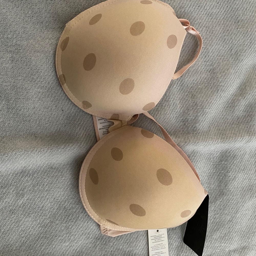 38C bra